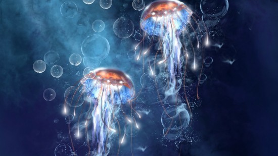Legjobb gyógyszer a medúza csípésre