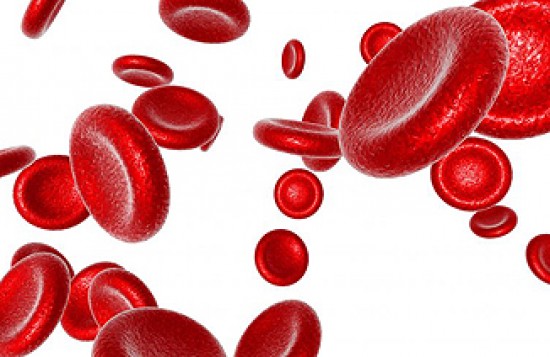 Hematológia - Aplasztikus vérszegénység
