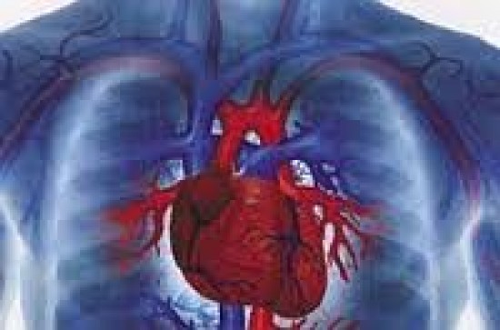 Szív- és érrendszeri megbetegedések - Angina Pectoris