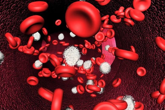 Anaemia - anemia, anémia, vérszegénység