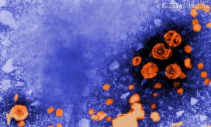  Árulkodó enzimek: Így mutatják ki a Hepatitist
