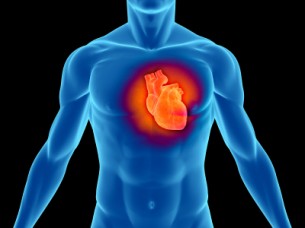A szívinfarktus okai - Prevenció a gyakoratban