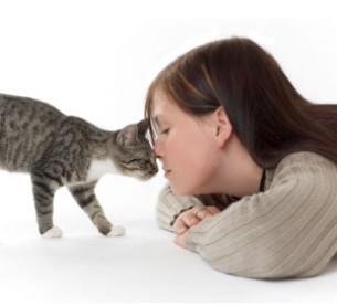 Macskával élni macskaszőr-allergiával: Itt a megoldás!