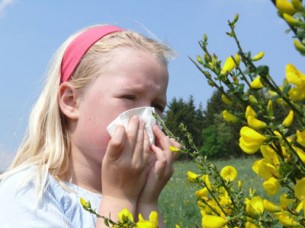 Végre megtudjuk: Így alakul ki az allergia!